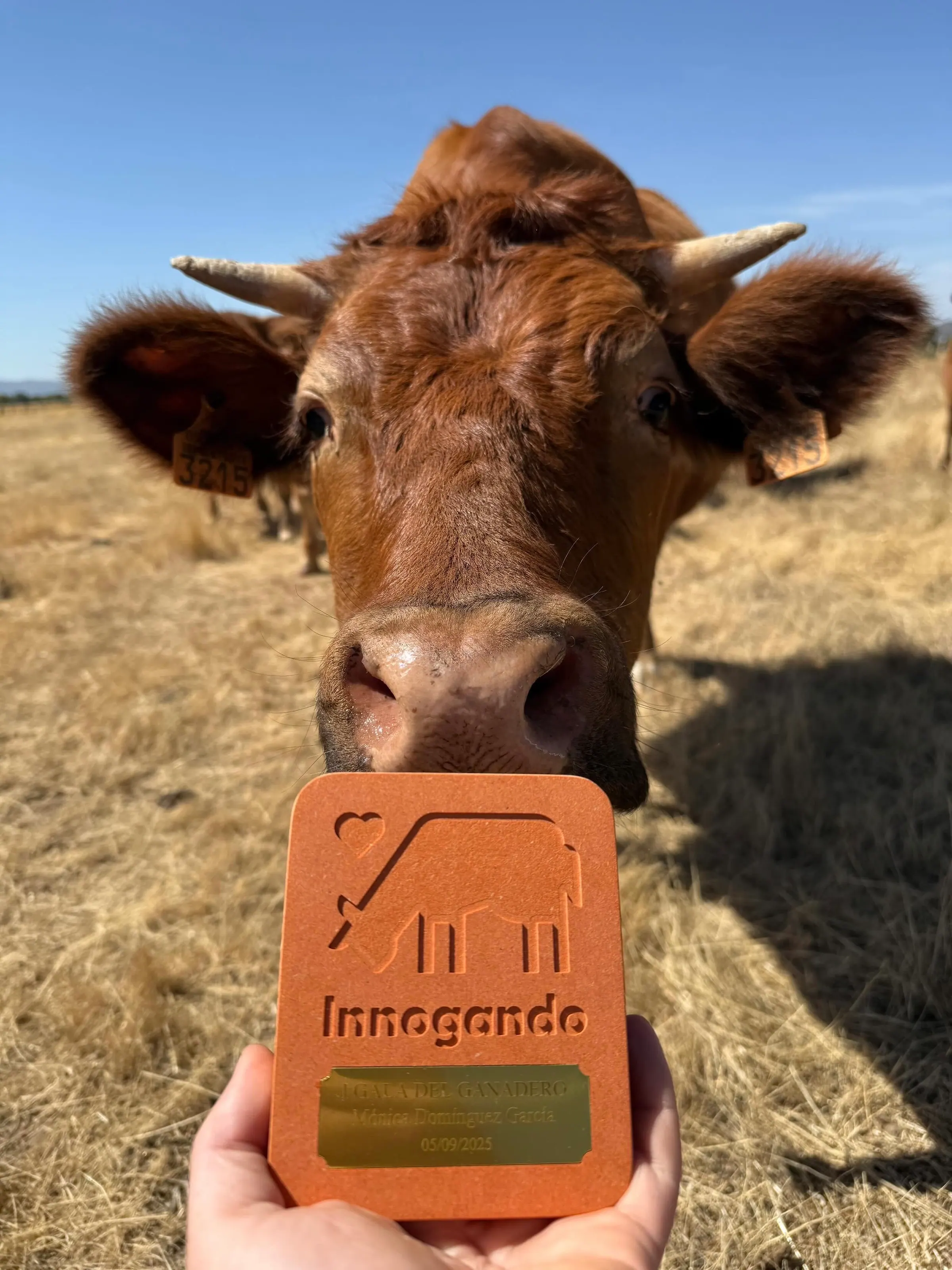 Objeto de marca en el campo